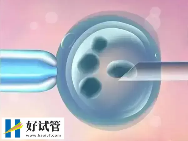 多次生化妊娠能不能做试管婴儿(图1) 做试管前要看卵巢功能差是否良好